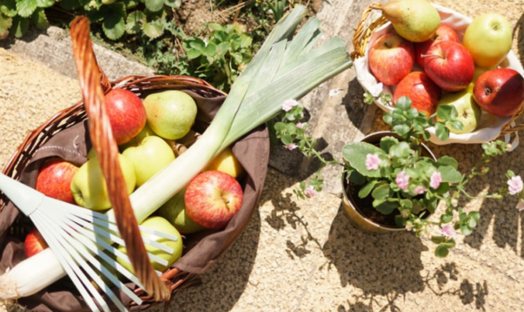 Eco-Friendly Baby Meal Prep. Sustainable Baby Food.