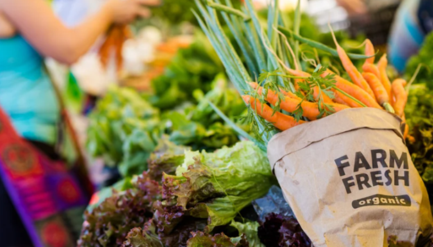 Avoid Heavy Metals, Microplastics in Baby Food. Produce at an outdoor market with a "Farm Fresh" bag filled with fresh produce.