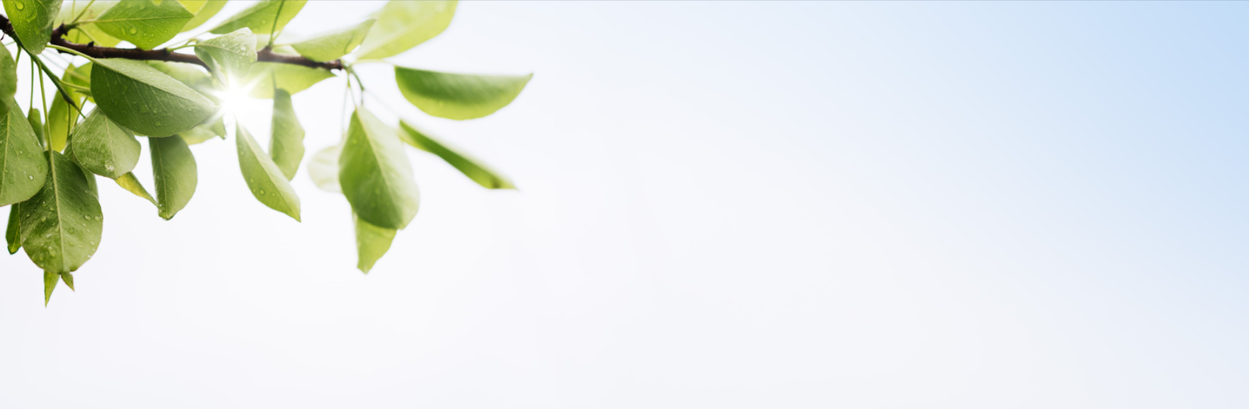 Sustainable Mindful Advent Calendar sustainable-mindful-advent-calendar