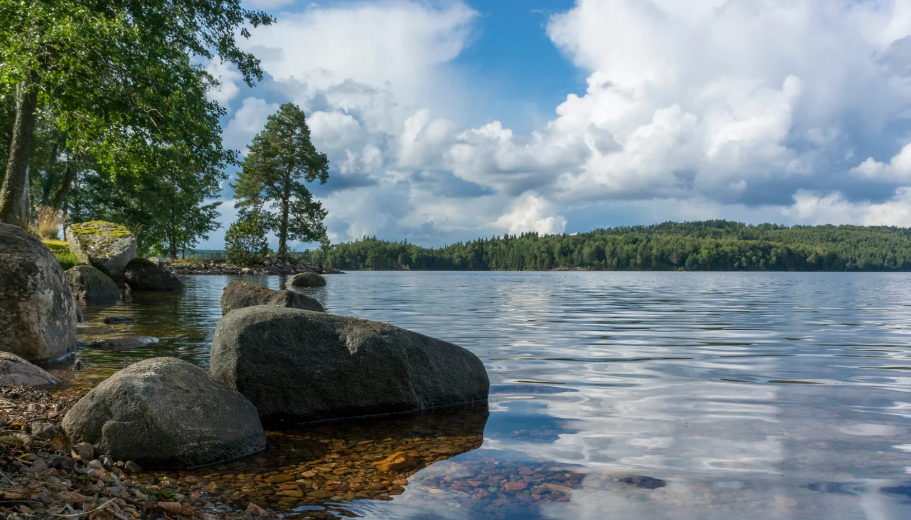 Mindful and Sustainable Living. Boost Your Mental Health. Mindful Parenting. Sustainable Parenting.