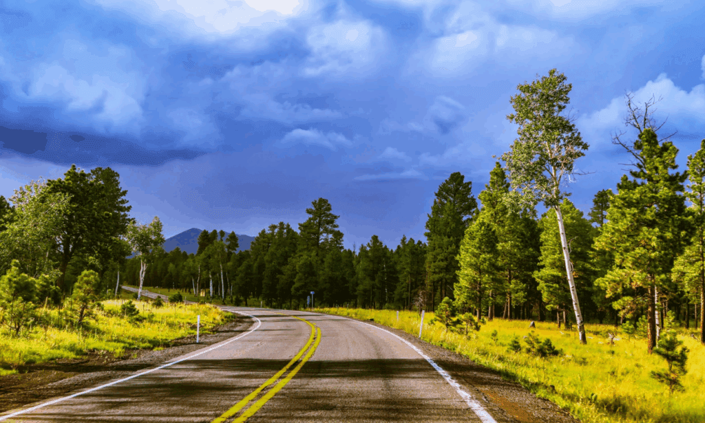 Travel Sustainably, Sustainable Travel.